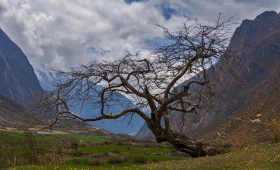 tsum valley trek