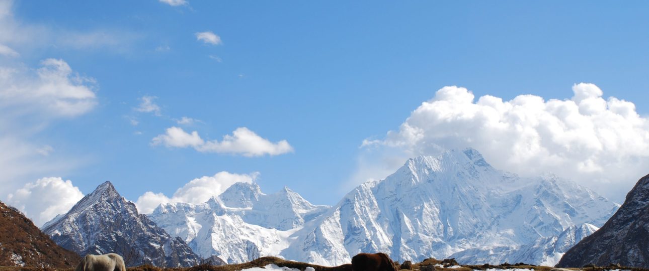 Manaslu Circuit Trek 2023