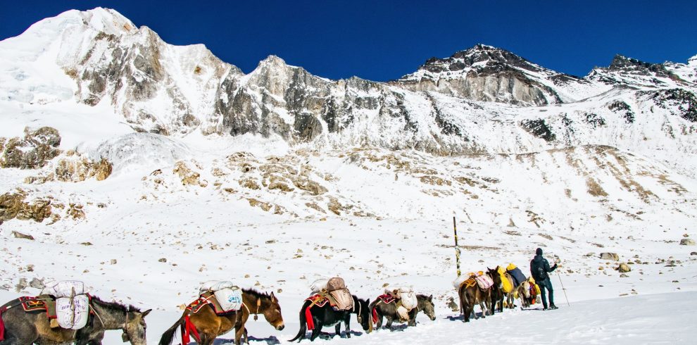 Manaslu Larke Pass Trek