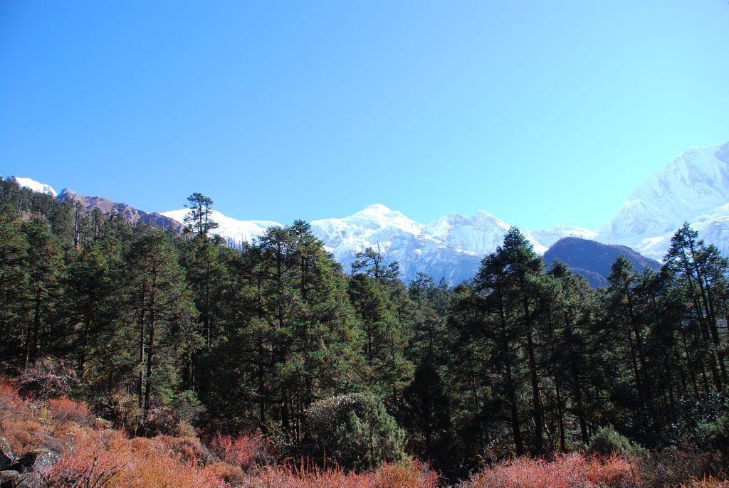 BIMthang - Manaslu